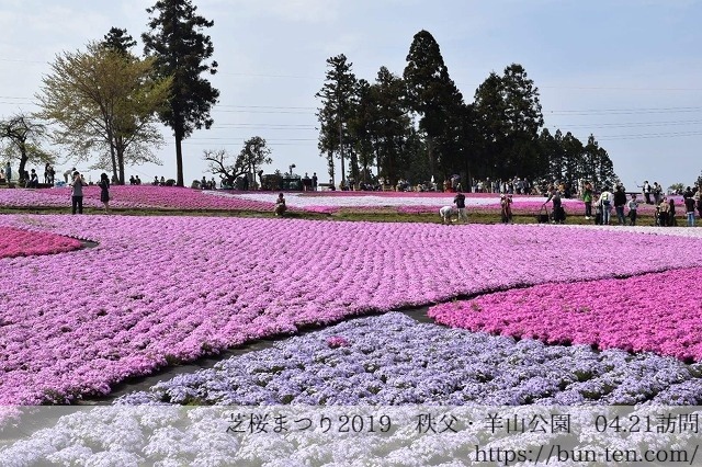 f:id:okmtaym:20190422085658j:plain f:id:okmtaym:20190422085658j:plain