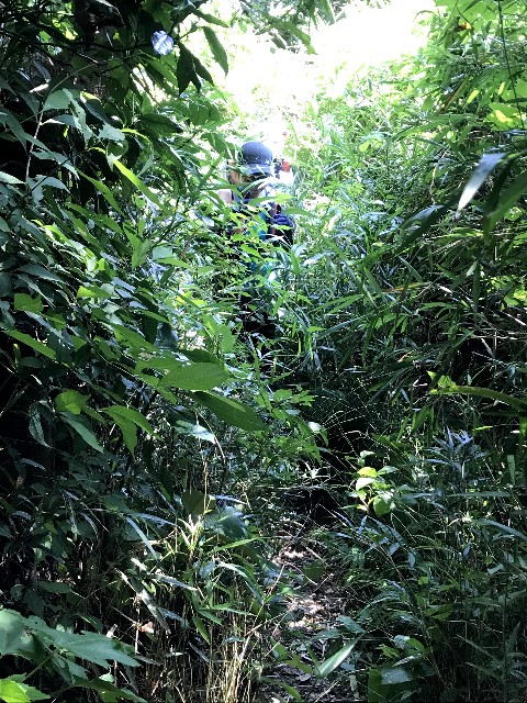 f:id:okmtaym:20190819212406j:plain f:id:okmtaym:20190819212406j:plain