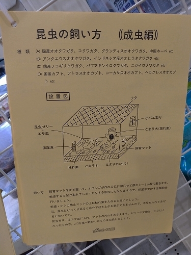 f:id:okmtaym:20190904201113j:plain