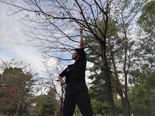 f:id:okmtaym:20191024092002j:plain