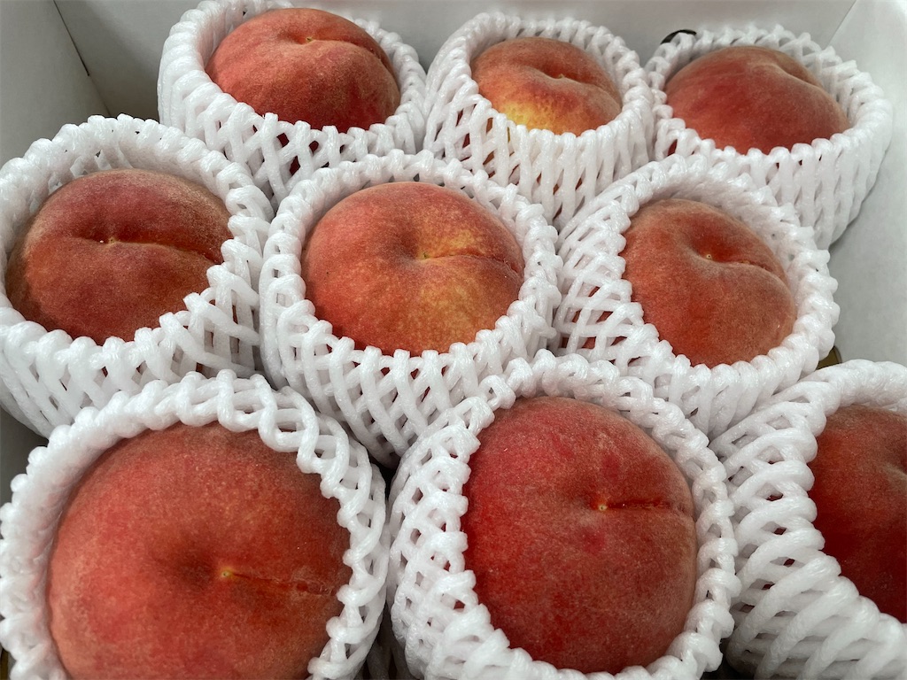 f:id:okmtaym:20210820170930j:plain