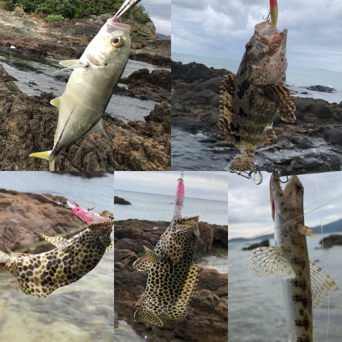 f:id:oknwdf:20191224170958p:plain f:id:oknwdf:20191224170958p:plain