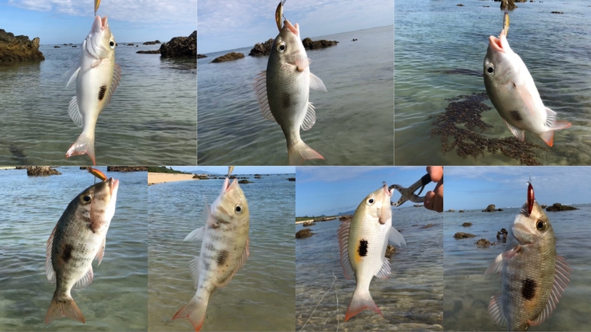 f:id:oknwdf:20191228163256j:plain f:id:oknwdf:20191228163256j:plain