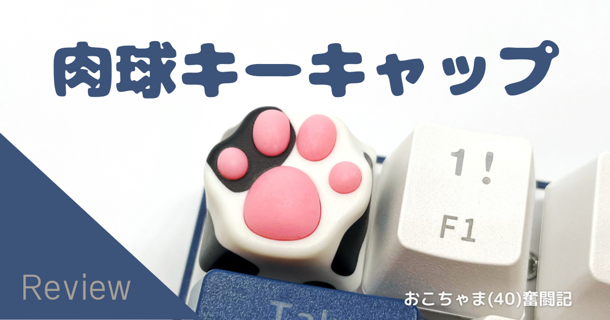 f:id:okocha-mah:20220217231817p:plain