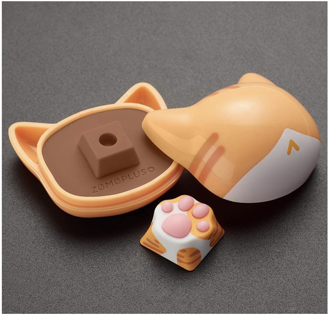 f:id:okocha-mah:20220219100209j:plain