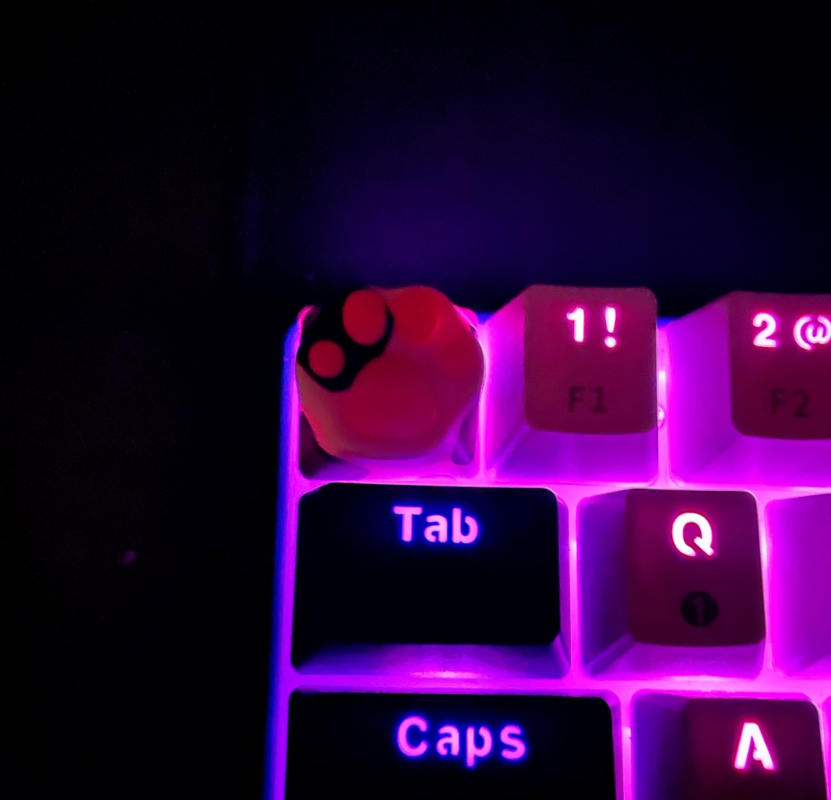 f:id:okocha-mah:20220220223238j:plain