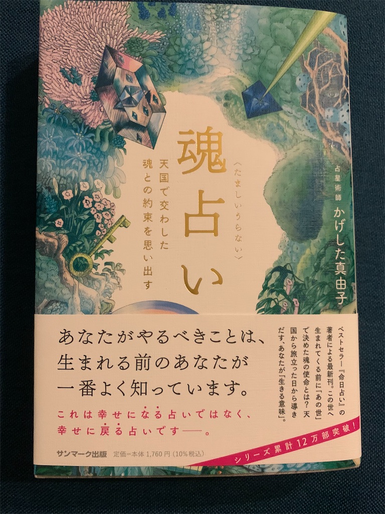 f:id:okomee15:20220401082717j:image