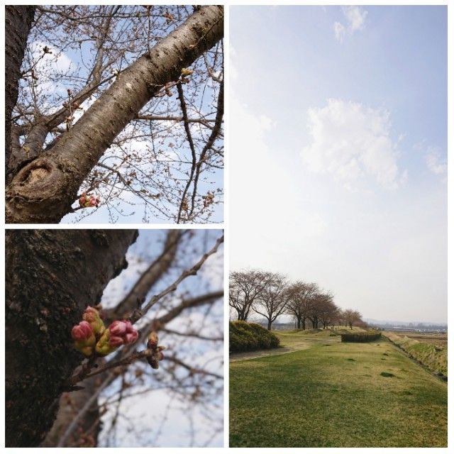 f:id:okomepower:20180403173810j:plain f:id:okomepower:20180403173810j:plain