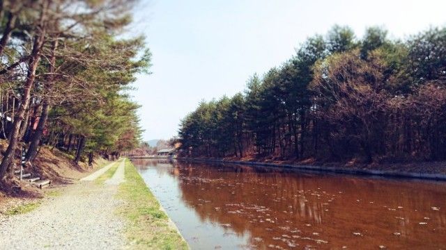 f:id:okomepower:20180403173822j:plain f:id:okomepower:20180403173822j:plain