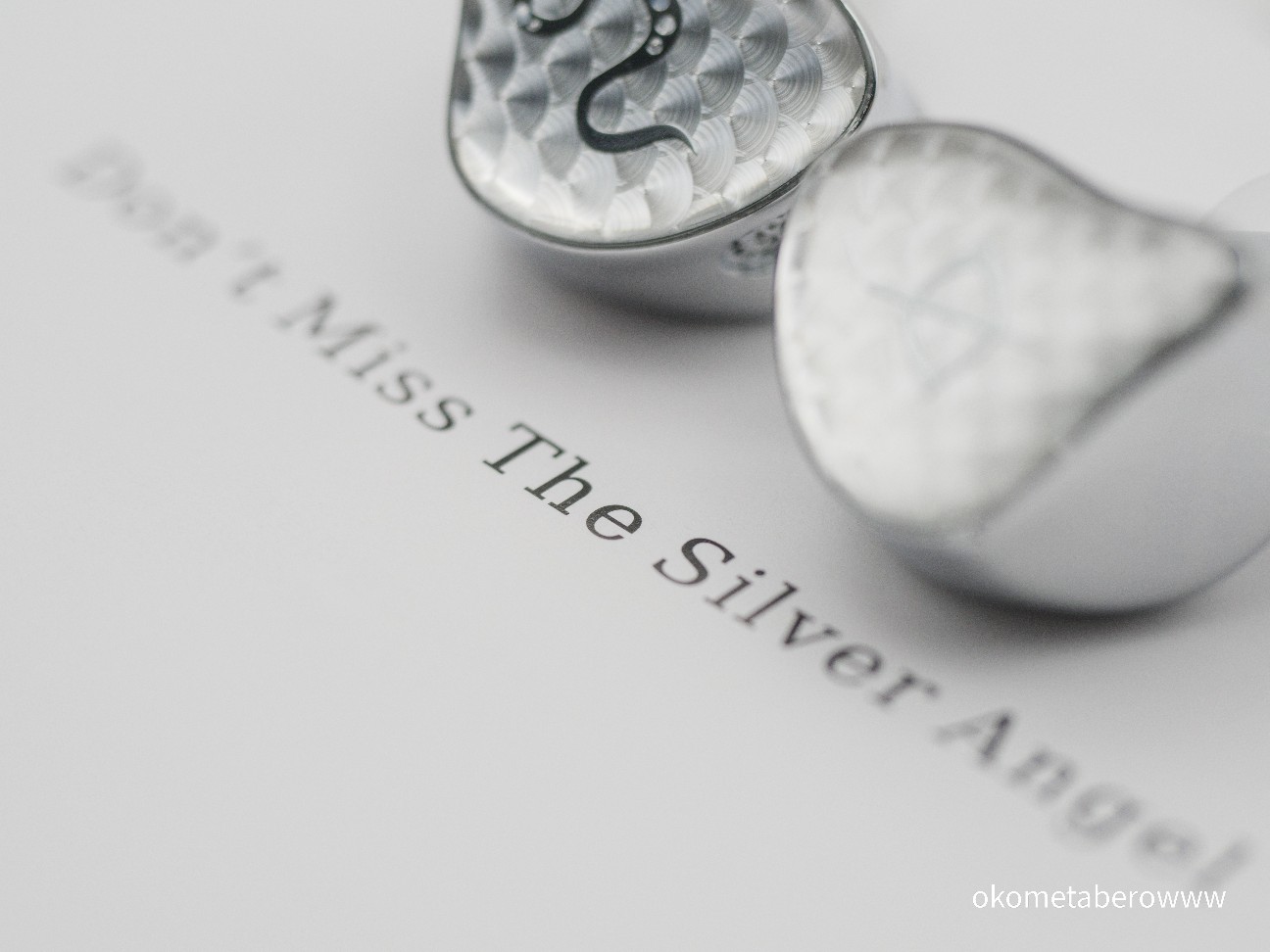 SPA-Pro Ultra＆SPA-Pro MAX EarAcousticAudio」レビュー金属