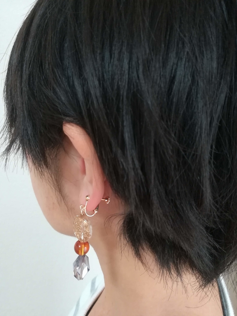 f:id:okotanushi:20190125160008j:plain
