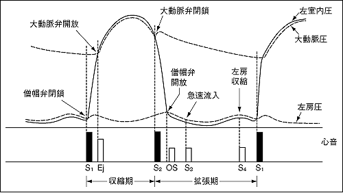 心周期と心音