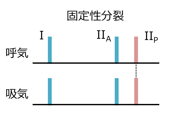 ２音の固定性分裂