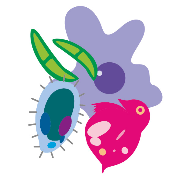 f:id:okrkn222:20190110144932j:plain