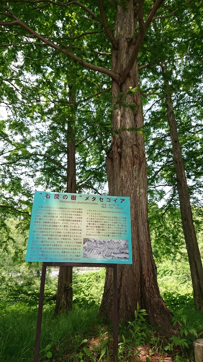f:id:okrkn222:20190628144252j:plain