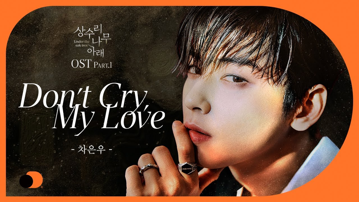 【歌詞和訳】Don’t Cry, My Love：ドントクライ・マイ・ラブ - Cha Eun Woo (차은우)：チャ・ウヌ