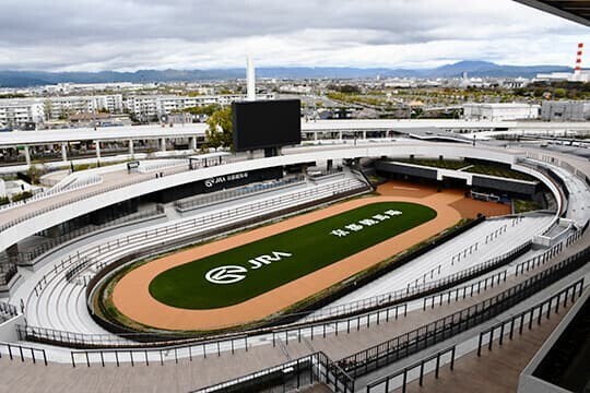 京都競馬場