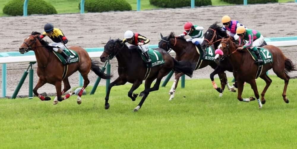 マーメイドステークス