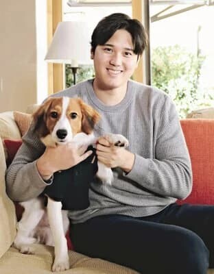 大谷翔平 愛犬 デコイ