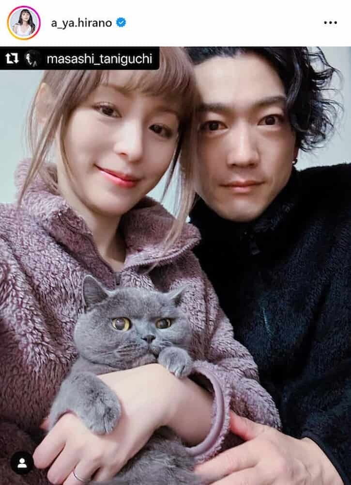 谷口賢志 平野綾 結婚写真