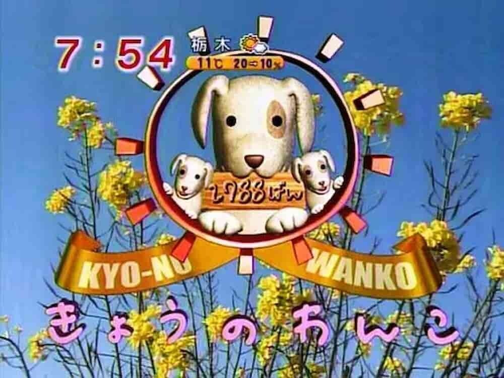 「きょうのわんこ」　テレビ局