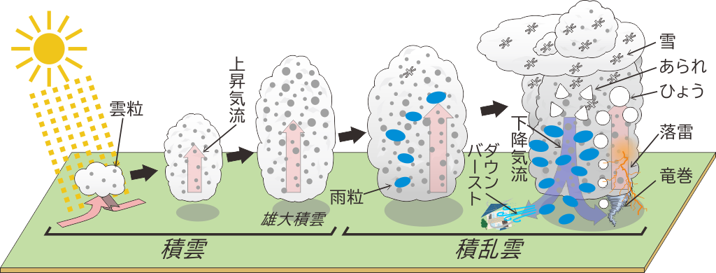 積乱雲の構造図   
