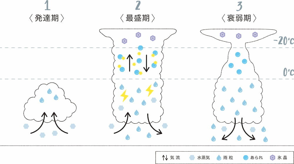 積乱雲 形成過程