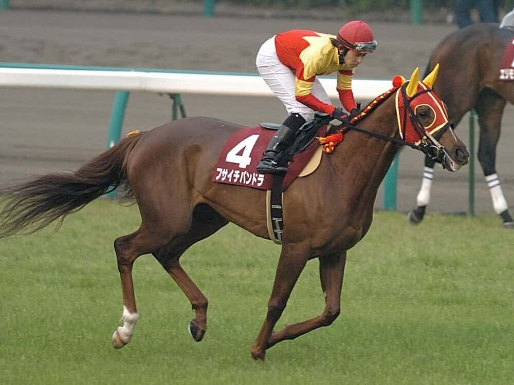 フサイチパンドラ 競走馬   