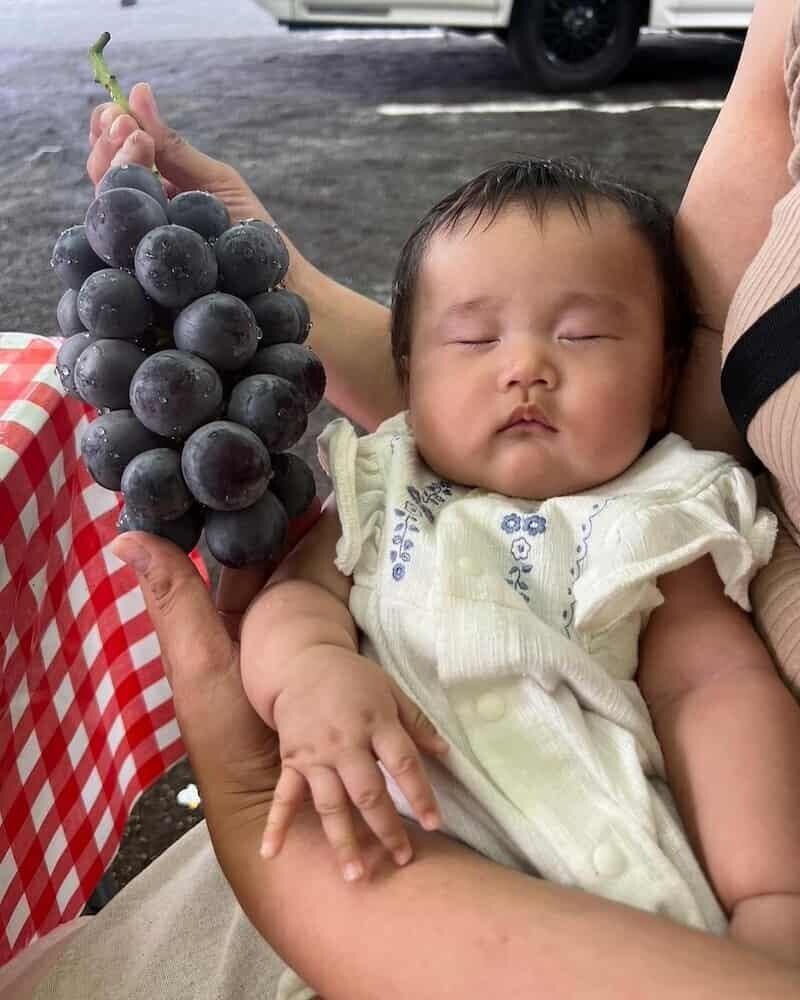 加藤夏希 ぶどう狩り