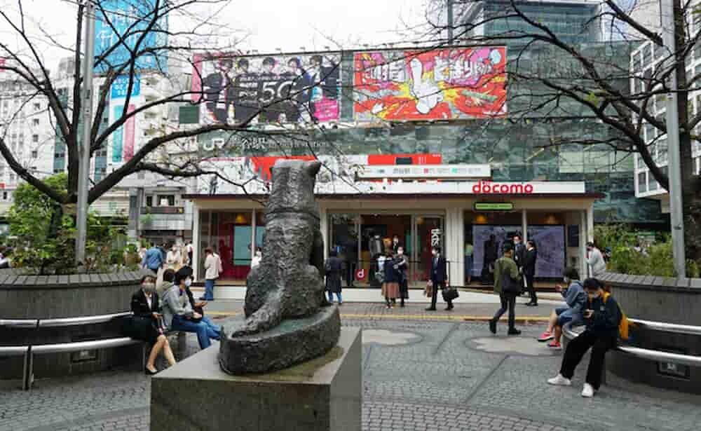 渋谷 ハチ公前