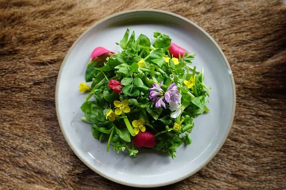 野草 料理   