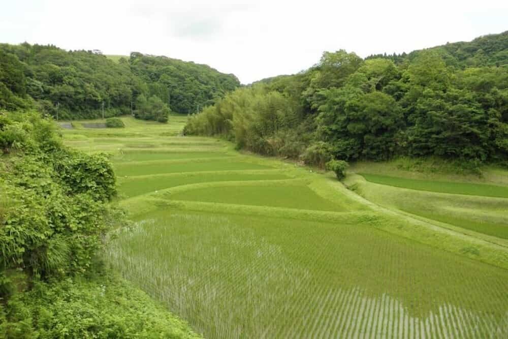 千葉県 田園風景   