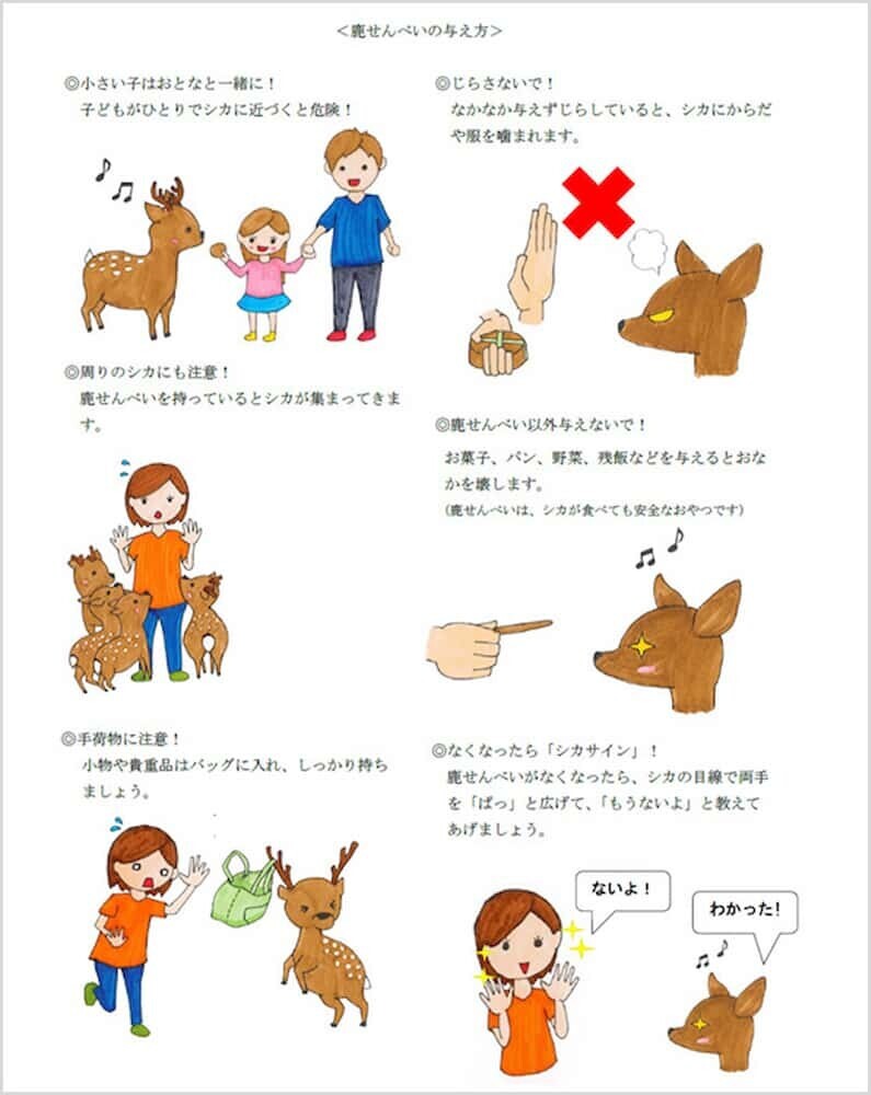 鹿せんべい 与え方