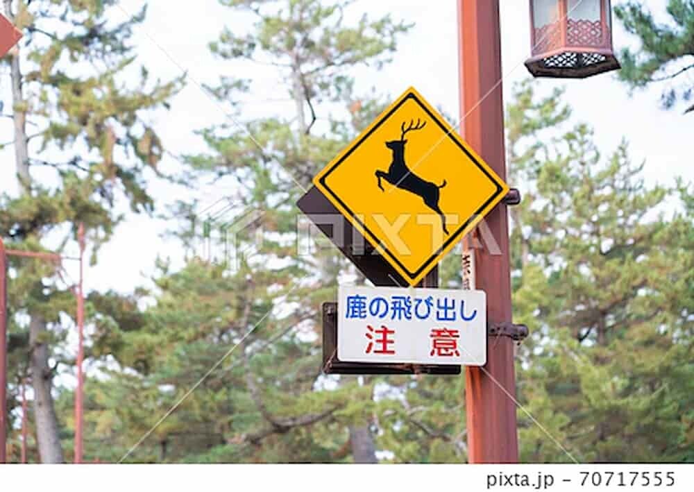 奈良 鹿 注意看板