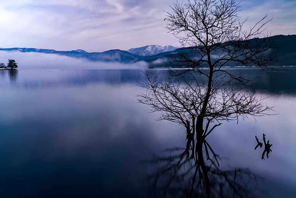  余呉湖 朝霧