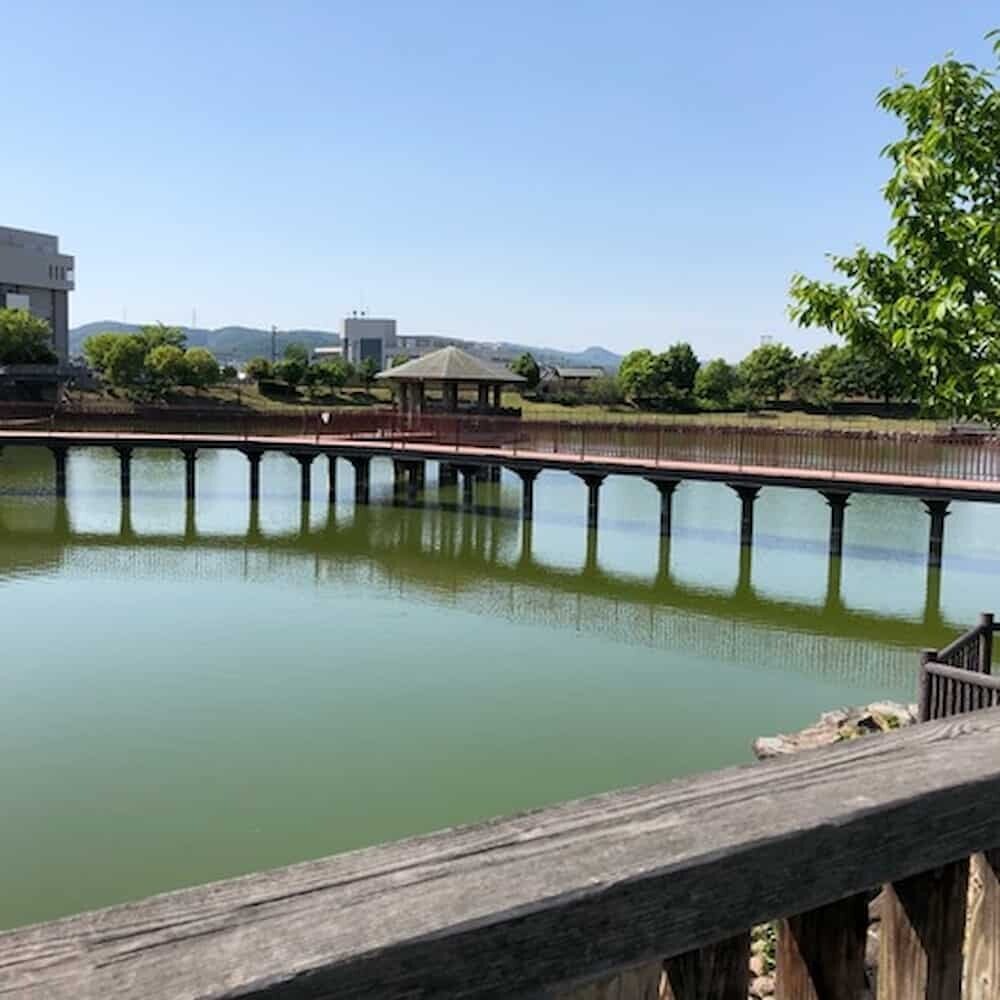 今池親水公園