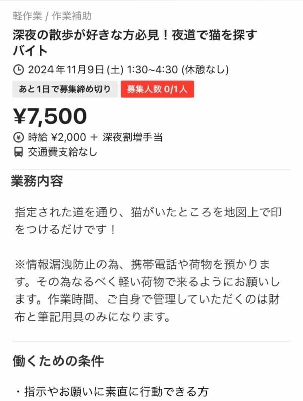 「深夜の猫探しで時給2500円！」