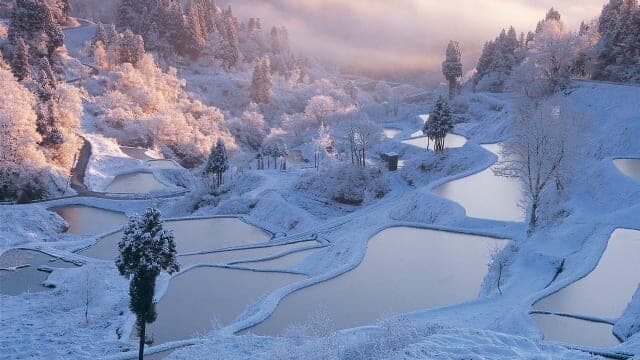 新潟県 十日町 雪景色