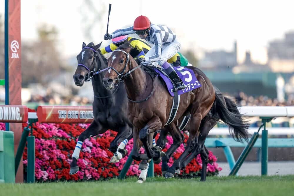 ドウデュース 有馬記念 2023 優勝