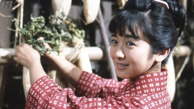 斉藤由貴 はね駒
