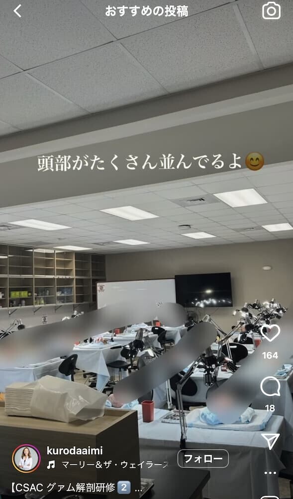 頭部がたくさん並んでるよ😊
