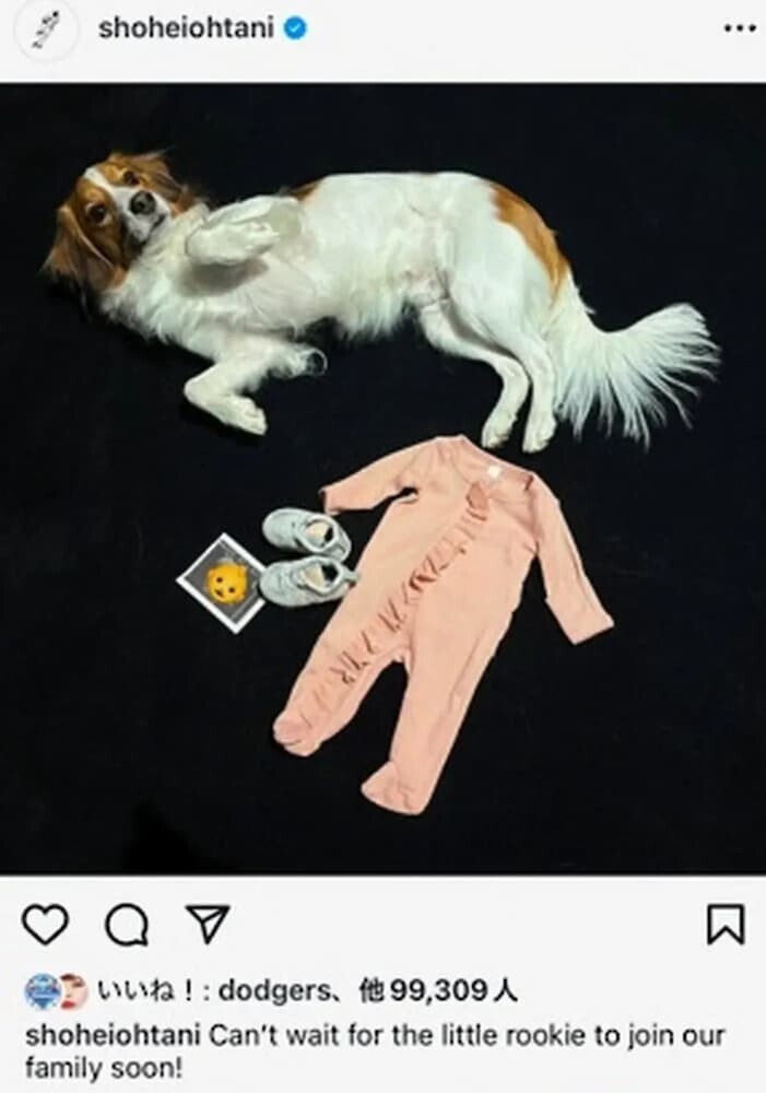 大谷翔平 インスタグラム 妊娠発表