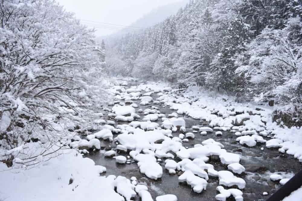 津山市 雪景色 2025
