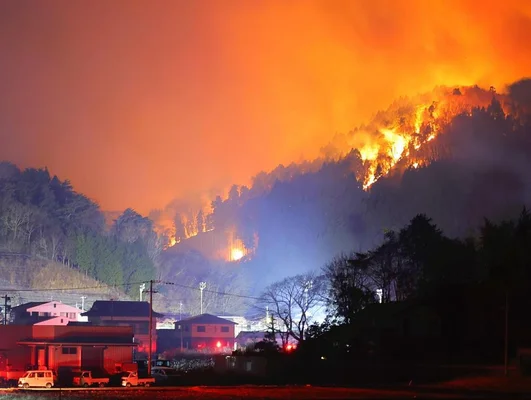 岩手県 大船渡 山林火災