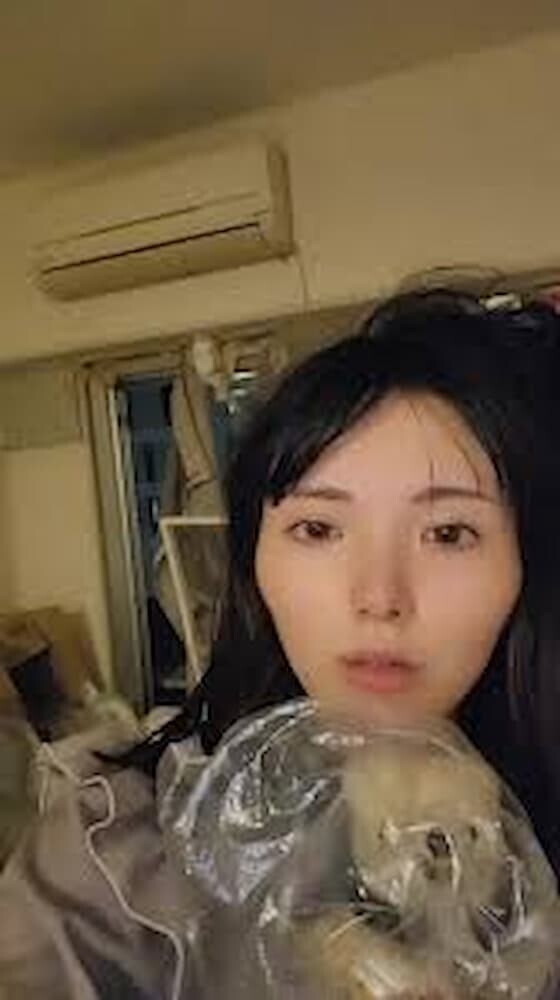 最強ちゃんがゴキブリ2万匹と同居する汚部屋から帽子店で試着し大炎上。髪を洗わず帽子試着で批判殺到、マンション住民や飲食店にも風評被害の連鎖。いじめや虐待の過去から現在の生活に至った背景と、SNSが実社会に与える影響を解説。個人の事情と公共マナーの両立を考察。