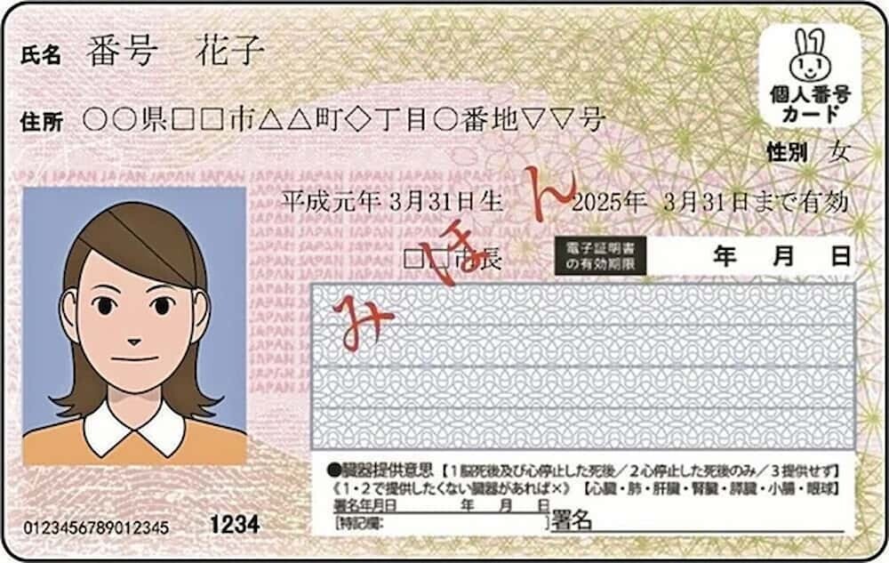 マイナ免許証のサンプル：ICチップに運転免許情報が保存されている