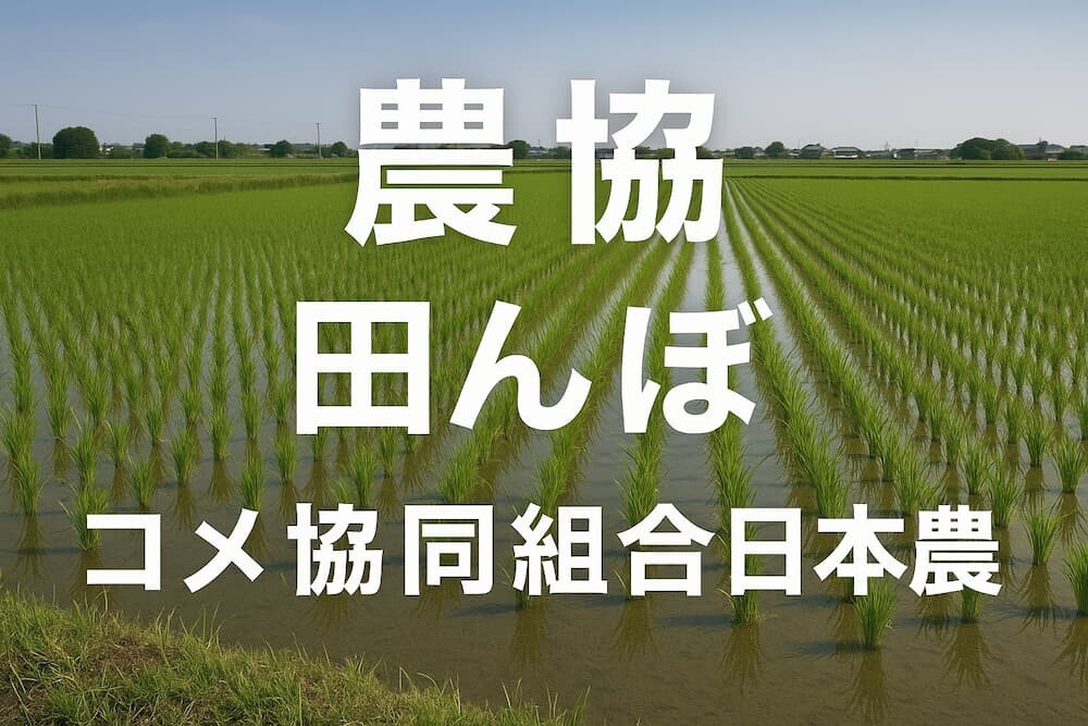  農協 田んぼ コメ 協同組合 日本農業