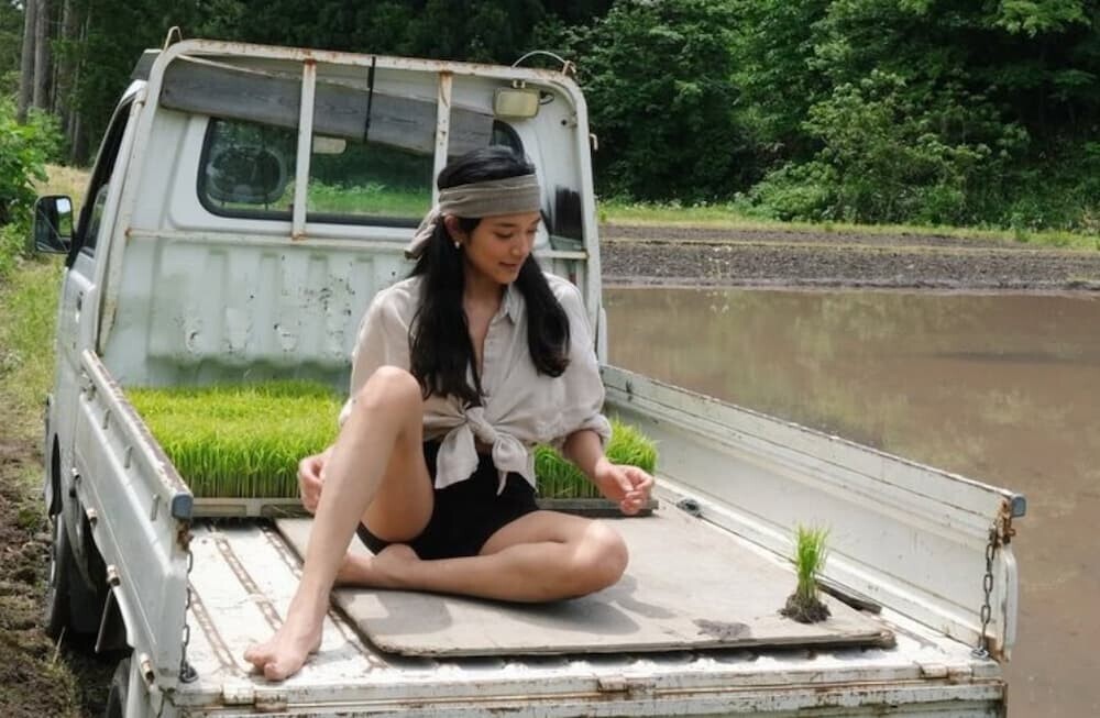 SNS上でローラの田植え写真