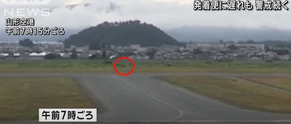 山形空港のクマ