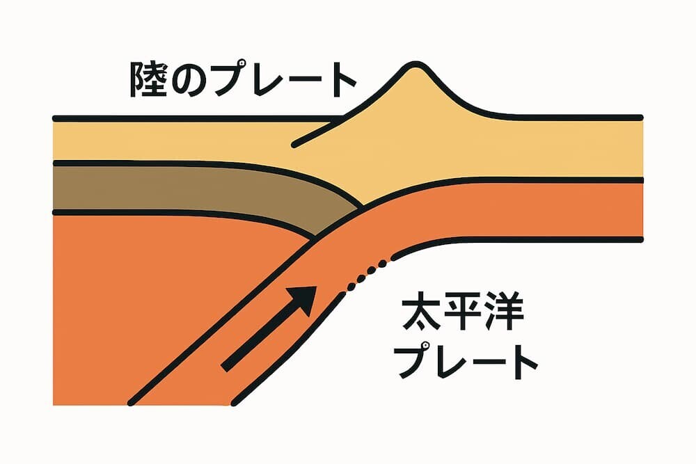 太平洋プレートが陸のプレートに沈み込む様子を模式的に示したシンプルなイラスト